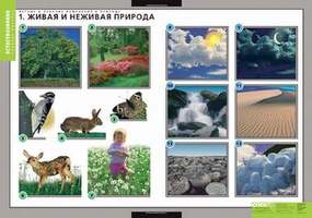 Таблицы Летние и осенние изменения в природе 13 таблиц + 32 карт.